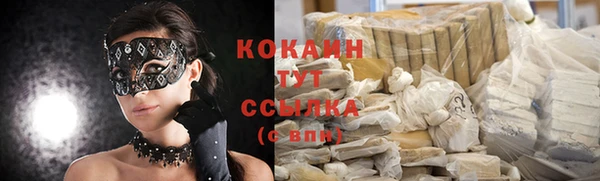 твердый Горно-Алтайск